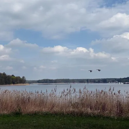 Ruhige, Idyllische Mit Naturausblick * Rheinsberg