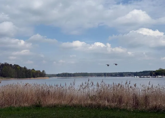 Ruhige, Idyllische Mit Naturausblick * Rheinsberg
